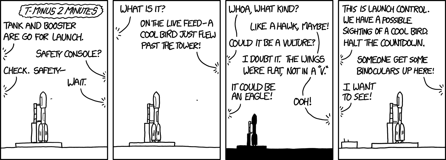 Visual checks suggest the cool bird has exited the launch zone. Tip the rocket sideways and resume the countdown--we're gonna go find it!