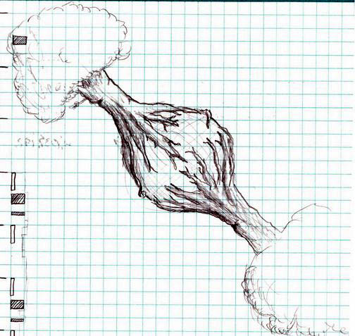 'Petit' being a reference to Le Petit Prince, which I only thought about halfway through the sketch