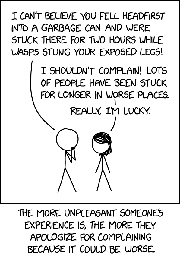 Bald-faced hornets are only a 2 on the Schmidt pain index, so I shouldn't complain. The tennis ball ejected from the dryer exhaust vent could have ricocheted off the nest of a much higher-scoring insect before knocking me off the ladder. Really, I'm lucky.
