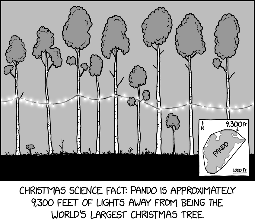 The presents under the tree are actually a single gift connected by an underground ribbon system.